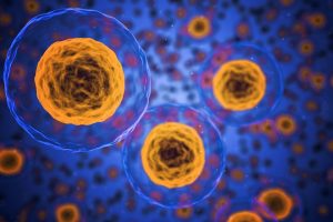 cells-1872666_1280